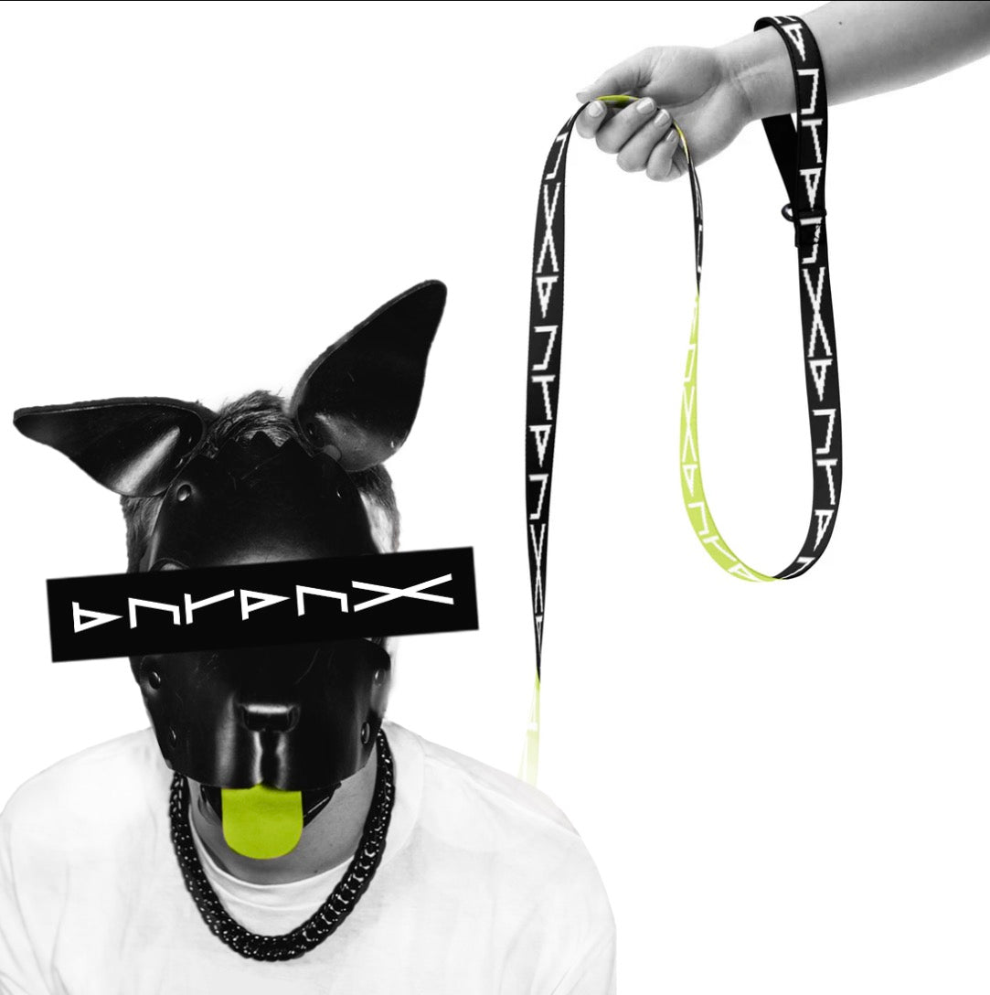 BNTPNX RAVE Pup Leash