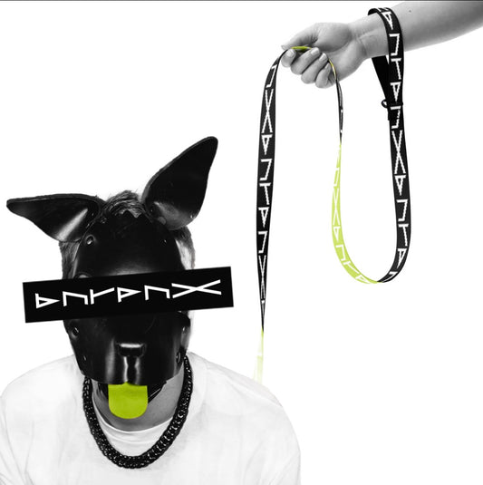 BNTPNX RAVE Pup Leash